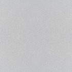 Automotive Paint For Hyundai N3s  Shimmering Silver Metallic