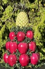 Colonial Williamsburg Faux Apple Pineapple Table Centerpiece Topiary Christmas