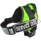 Service Dog Vest Harness Handle Removable Reflective Tag Patches Therapy Dog
