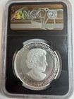 2019 1oz Silver  5 Canadian Maple Leaf  Ngc Pf70 