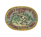 1963 Camp Little Archie Chief Shabbona Council Boy Scout Bsa Patch