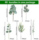 60 Pcs 5 Kinds Eucalyptus Stems Bulk  Artificial Silver Dollar Eucalyptus Gre   