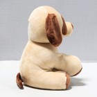 Baby Ty - Bumpkin The Brown Dog  Medium  Mwmt Stuffed Animal Toy