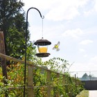 Adjustable Shepherds Hook 65 Inch Plant Hanger Bird Feeder Pole Rust Resistant 