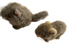 Lot Of 2 Vtg Small Plush Stuffed Animal Hamster Puppet   Puffkins Nutty Squirrel