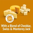 Purina Friskies Cat Treats  Party Mix Cheezy Craze Crunch - 20 Oz  Pouch