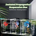 Plastic Fish Isolation Breeding Box  Square Hatching Incubator For Betta guppies