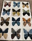 Handmade Art Quilt wall Hanging butterfly Sampler  Applique  13 1 2   X 18   