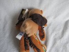 Limited Treasures Coin Bear Sacagawea New