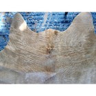 Brazilian Cowhide Rug Palomino Light Tan Natural Hair On Hide Western Decor Xl
