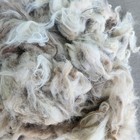 2 Lb Platinum White Raw Llama Wool Wet Felting Needle Felting Carding Spinning