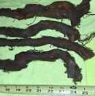 Antique Or Vintage Oakum  4 Lengths Of 27   At Least From 1960s  Free Shipping 