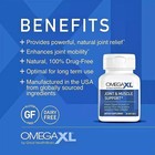 Omega Xl 120ct By Great Healthworks Potent  Joint Pain Relief Omega-3          