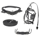 Diplomat Full-size Horse Driving Harness Set - Premium Cow Softy Leather - Black