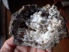 Botryoidal Fossil Coral Geode Chunk Ga Agate Specimen Collection Ocean W316