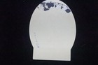 Original 1940s Quincy Illinois Vintage Roller Skating Rink Sticker Label