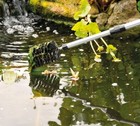 4-in-1 Combo Pond Care Net Set With Telescopic Pole  Daily Pond Care In One Box