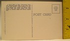 Vtg Yellowstone National Park Uncirculated Unused Post Card  16348 Bear In Tree