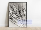 Vintage Photo Print     1940s Girls Laying On Surfboards  Classic Beach Nostalgia