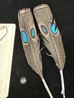 Peacock Pheasant Double Eye Tail Feathers  136