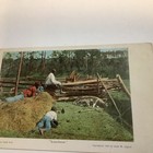 Black Americana Post Card
