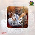 3d Livelife Cork Coaster - Owl Woods  Drinks Coaster With Lenticular 3d Animal I