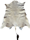 African Springbok Tanned Hide Skin Rug Pelt Wall Decor Trophy Quality Flat Lay