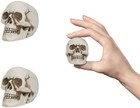 2pcs Mini Resin Skull Halloween Decoration  Human Skull Statue Desk Ornament