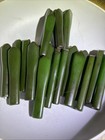 Bakelite Catalin Pieces- Green Handles