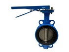 Pratt 5  Butterfly Valve  200psi  Type Body di Disc cf8 Seat epdm Class 125 Lbs
