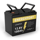 12 8v 100ah Lifepo4 Lithium Battery Bms Deep Cycle For Rv Marine Solar Off-grid