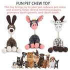 Cute Pet Dog Chew Toy Squeaker Squeaky Soft Plush Play Sound Puppy Teeth Toy