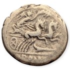 Roman Republic Marcus Cipius Ar Denarius 115-114 Bc Ancient Silver Coin 13p