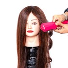 Hairdressing Training Mannequin Head 60  Real Hair With Tools And Stand Brown