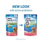Purina Dentalife Made In Usa Facilities Cat Dental Treats  Savory Salmon Flav   