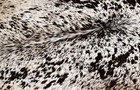 100  New Cowhide Rugs Area Cow Skin Leather  52  X 47   Cow Hide Sa-3522
