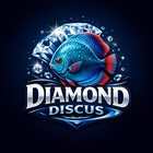 Pack Of 4 - 3 5    To 4    Live Discus Fish Freshwater Aquarium - Express Shipping