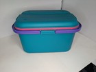 Vintage Eagle Craftstor Sewing Craft Storage Organizer Tote Bin Teal Purple Pink