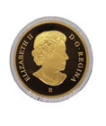 Canada 2018  20 Modern Allegory Borealia  9999 Silver Gold Plated Proof Coin