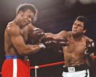 1974 Muhammad Ali And George Foreman 8x10 Photo Rumble In The Jungle Print