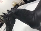 Custom Modified Peter Stone Type Arabian Stallion  ears Mane Tail  