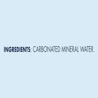 Sparkling Natural Mineral Water  Plastic Bottles  16 9 Fl Oz  pack Of 12 