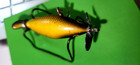 Vintage Phillips Crippled Killer Injured Minnow Frog Pattern Fishing Lure
