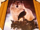 Wolf And Eagle 11x13 Mdf Framed Picture   Wood Color Frame  