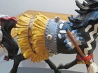 Horse Of A Different Color - Apache Spirit  Free Shipping 