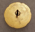   Veteran Pin - 50 Years Variety  12