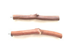 Manzanita Bird Perches  2 Pack  W   Hardware  Single Branch    9  To 10  Long