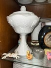 Westmoreland Vintage Paneled Grape   Excellent Condition Milk Glass