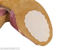 Women s Men s Shoes Sole Stopper Ballroom Latin Dance Accessories One Size Fits