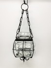Hanging Bubble Glass Vase Flower Plant 